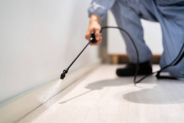 Licensed Pest Control service in Sequim, WA - Show Me Pest Control