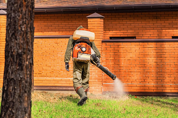 Bed Bug Clearance Verification and Documentation in Sequim